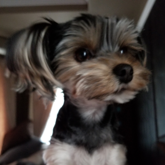 Hi itโs Gisella a wannabe reformed hoarder - Picture 6 of 8